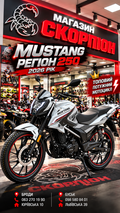 MUSSTANG REGION MT250 2026