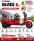 CORSO SIG L SL-033075 — електротрицикл 1200 Вт, червоний